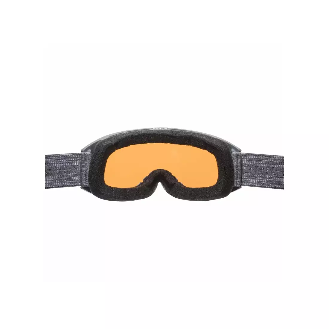 ALPINA Ski-/Snowboardbrille M40 NAKISKA DH grau A7281123