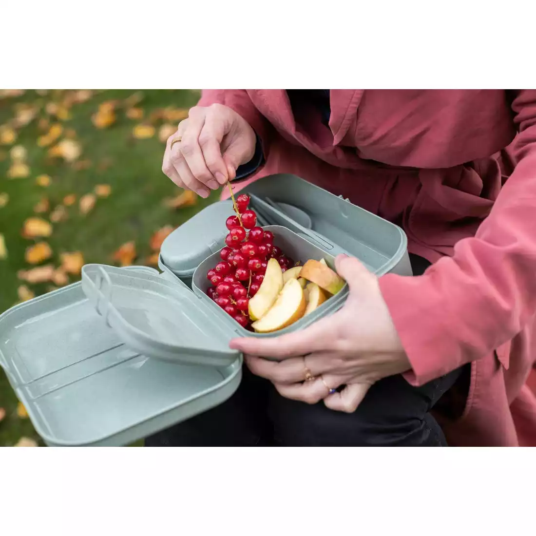 Koziol Pascal ready organic Set Lunchboxen + Besteck, grün