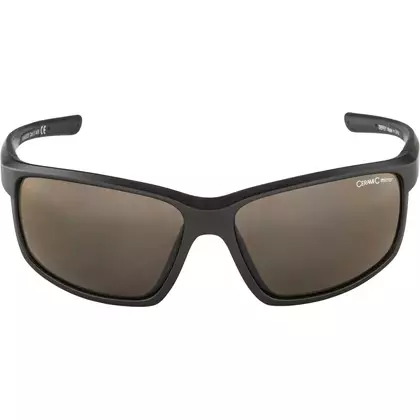 ALPINA DEFEY Rad-/Sportbrille, tin-black matt