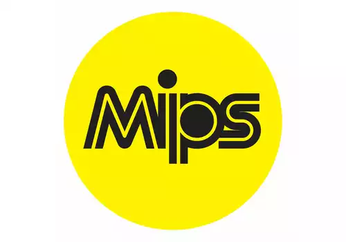 MIPS-Technologie. Was ist es und für wen?